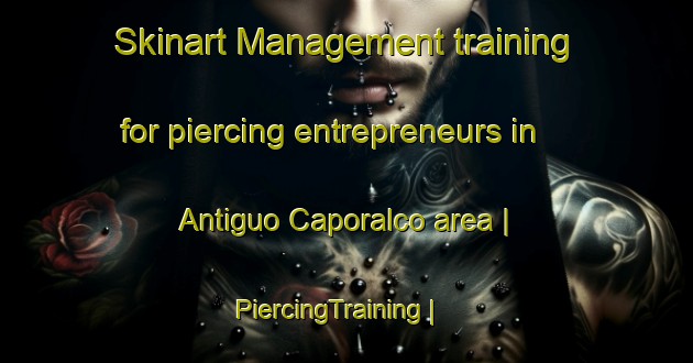 Skinart Management training for piercing entrepreneurs in Antiguo Caporalco area | PiercingTraining | PiercingClasses | SkinartTraining-Mexico